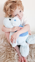 Load image into Gallery viewer, Personalised Dinosaur Soft Toy Teddy