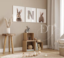 Load image into Gallery viewer, Neutral set of 3 Personalised Bunny Nursery Prints