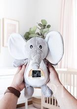 Load image into Gallery viewer, Elephant Teddy Baby Scan - Pregnancy Announcement - Baby Gift
