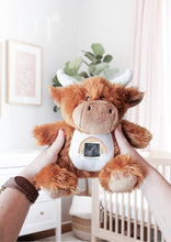 Load image into Gallery viewer, Baby Scan Highland Cow Teddy - Pregnancy Reveal - Baby Gift