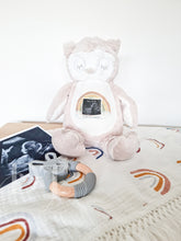 Load image into Gallery viewer, Owl Teddy Baby Scan - Pregnancy Announcement - Baby Gift