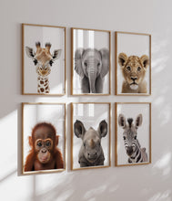 Load image into Gallery viewer, BABY ANIMAL PORTRAITS - GENDER NEUTRAL NURSERY DECOR POSTERS