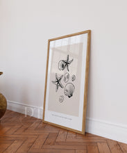 Load image into Gallery viewer, Beige Minimalist Seashells line art