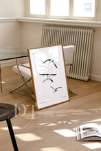 Load image into Gallery viewer, Seagull Birds minimalist line art