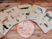 Load image into Gallery viewer, Educational Watercolour Animal Alphabet Flash Cards