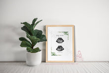 Load image into Gallery viewer, Eucalyptus Double Scan - Ultra Sound Art