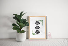 Load image into Gallery viewer, Triple Scan Eucalyptus - Ultra Sound Art