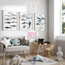Load image into Gallery viewer, Whales Dolphins Sharks Types Under the sea Educational print

