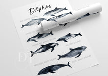 Load image into Gallery viewer, Whales Dolphins Sharks Types Under the sea Educational print
