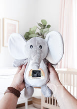 Load image into Gallery viewer, Elephant Teddy Baby Scan - Pregnancy Announcement - Baby Gift
