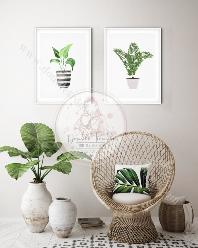 Botanical House Plants Set Of 2 Prints