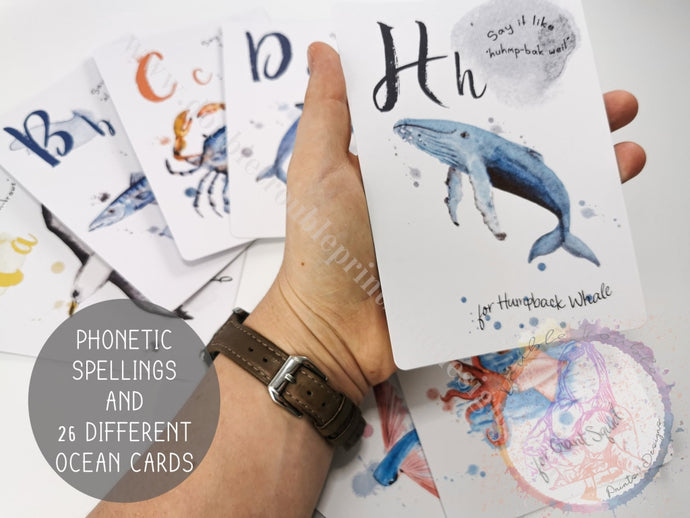 Educational Ocean Alphabet Flash Cards