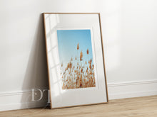 Load image into Gallery viewer, Blue Sky Pampas Reeds Photograph

